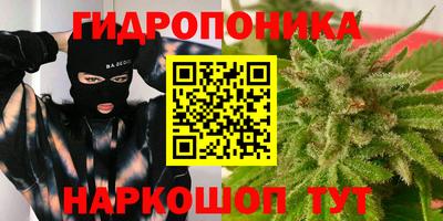 2c-b Канаш